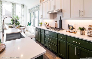 10808 Bango Farms, San Antonio, TX 78254 - photo 6