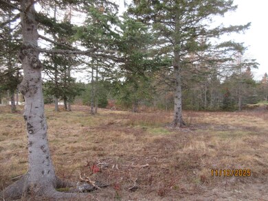 Lot 2 Smalls Point Rd, MacHiasport, ME 04655 - photo 2