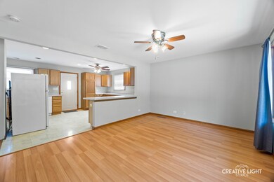 749 Foran Ln, Aurora, IL 60506 - photo 3