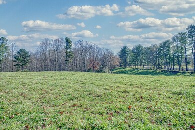 2730 Muddy Pond Rd, Monterey, TN 38574 - photo 5