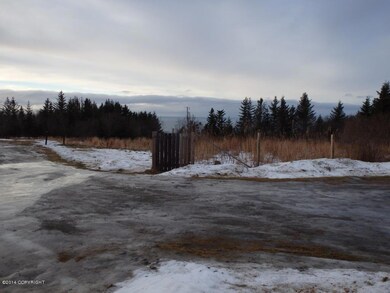 Big Cook Inlet view