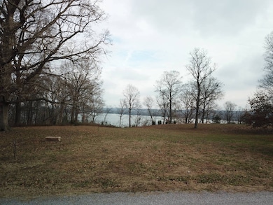 602 Raum Park Dr, Golconda, IL 62938 - photo 7