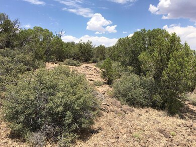 5322 N Kit Fox Trail unit 235, Kingman, AZ 86401 - photo 3