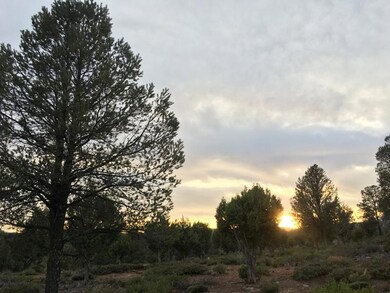 8 S Palomino Dr, Payson, AZ 85541 - photo 2