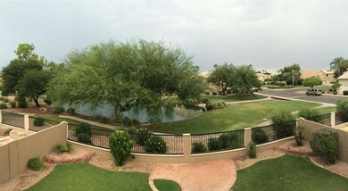 Backyard from Master