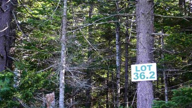 5 Golden Heights Rd unit 36.2, Waterville Valley, NH 03215 - photo 5