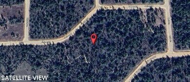 0 Jackson Rd unit 776995, Marianna, FL 32448 - photo 7