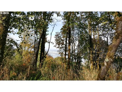 0 W 4th St, Rainier, OR 97048 - photo 2