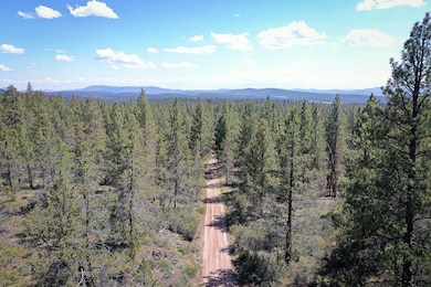 0 Chicken Hawk unit 25693843, Bonanza, OR 97623 - photo 7