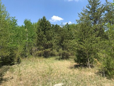 TBD State Hwy 34, Park Rapids, MN 56470 - photo 4