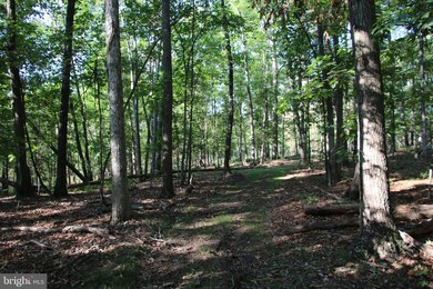 0 Sulphur Spring Rd unit VAWR2008974, Middletown, VA 22645 - photo 6