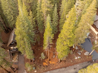 6303 Tamarack Way, Soda Springs, CA 95728 - photo 5