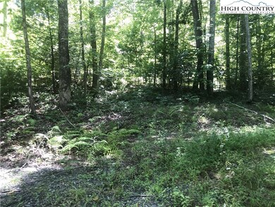 TBD Lot 28 Sonterra Dr, Lansing, NC 28643 - photo 5