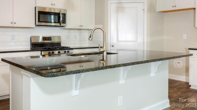 179 Fox Cove Rd, Hendersonville, NC 28792 - photo 5