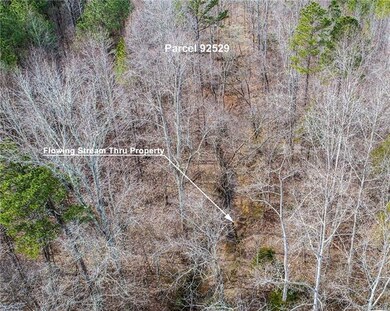 000 Vesuvius Furnace Rd, Iron Station, NC 28080 - photo 5