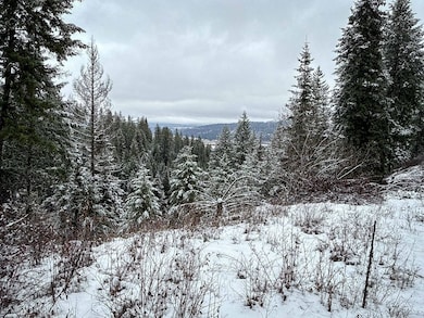 Tbd Deer Creek Rd, Valley, WA 99181 - photo 2