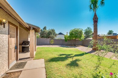 34-Javelina