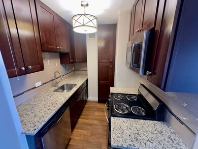 4180 N Marine Dr unit 1610, Chicago, IL 60613 - photo 5