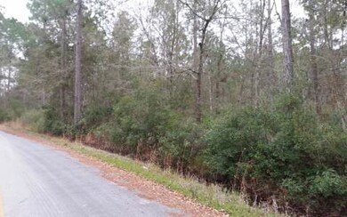 TBD Jamie Glen, Lake City, FL 32055 - photo 4