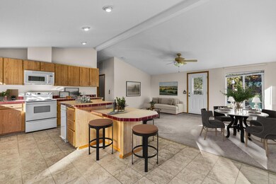 9141_SW_Shad_edit02153-Edit-Edit_15-11-2