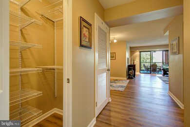 5901 Mount Eagle Dr unit 717, Alexandria, VA 22303 - photo 3