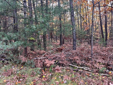 2534 E Mullett Lake Rd, Indian River, MI 49749 - photo 5