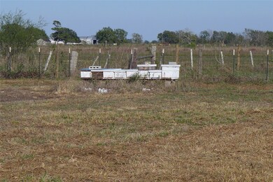 4444 W Tavener Rd, Beasley, TX 77417 - photo 6