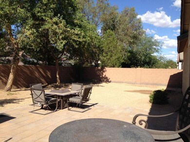 Large Backyard