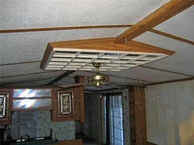 Other. Ceiling fan