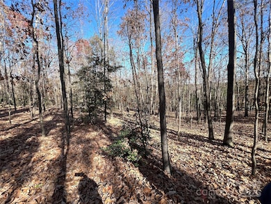 000 Sam Poole Ln, Taylorsville, NC 28681 - photo 2