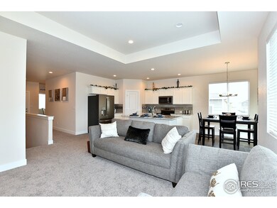 10333 W 11th St, Greeley, CO 80634 - photo 6