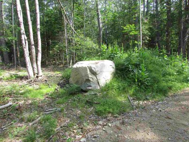 122 Sodom Rd, Center Tuftonboro, NH 03816 - photo 5