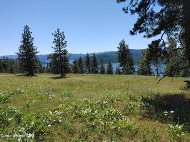 146399 E Falcon Crest Rd, Harrison, ID 83833 - photo 3