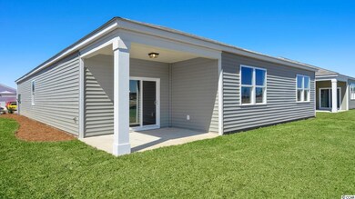 384 Spruce Pine Way unit Lot 210- Cali A, Conway, SC 29526 - photo 4