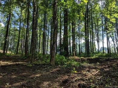 TBD Laurel Ledge Way unit Lot 20, Fletcher, NC 28760 - photo 2