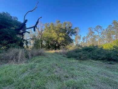 0 SE Corner of Holly Lane & S R 597 Ln unit MFRT3488610, Lutz, FL 33558 - photo 7