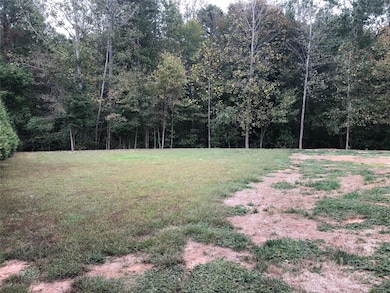 1902 Harrison Park Dr, Waxhaw, NC 28173 - photo 2