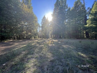 Land & forested area