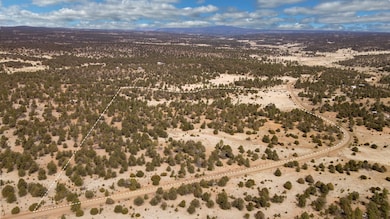Dove Valley Rd, Pie Town, NM 87827 - photo 2