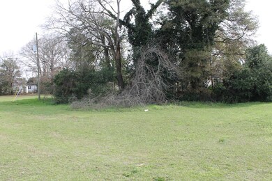 1111 N Martin Luther King jr Blvd, Americus, GA 31719 - photo 5