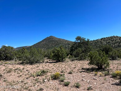 293 Old Deputy Shortline, Ash Fork, AZ 86320 - photo 5