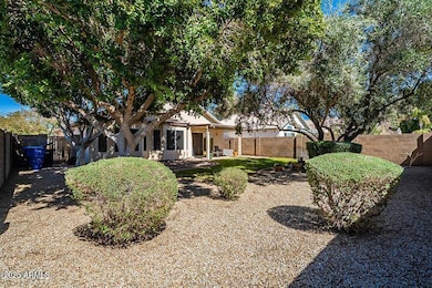 Caroline Ln-Backyard 02