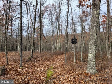 HINKLE MOUNTAIN RD/ Deep Spring Rd, Dorcas, WV 26847 - photo 5