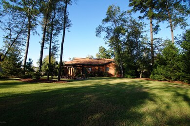 146 Lismore Dr, Winterville, NC 28590 - photo 4