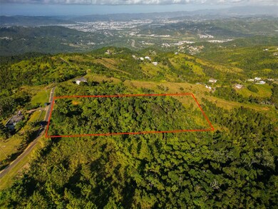 Bo Beatriz Fincas Mi Recreo 3 Carr 1, Caguas, PR 00725 - photo 6