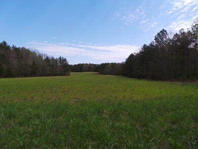 Open Fields - Animals, Crops, or Wildlife Plots