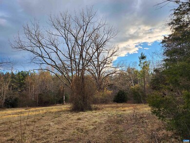 TBD Jefferson Mill Rd unit 1100, Scottsville, VA 24590 - photo 3