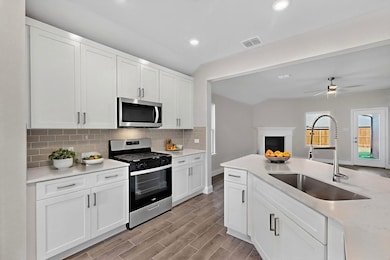 733 Fencerow Trail, Weston, TX 75009 - photo 2