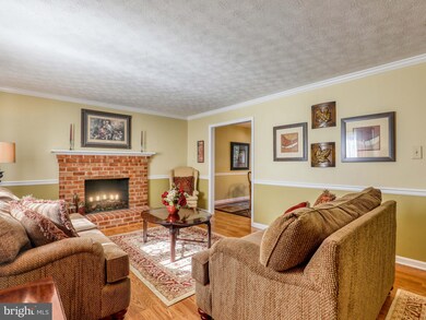 832 Appleseed Ct, Winchester, VA 22601 - photo 6