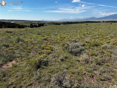 344 Cherokee Trail, Westcliffe, CO 81252 - photo 4